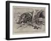 The Fighting in Manila, after the Engagement at Calumpit-Charles Edwin Fripp-Framed Giclee Print