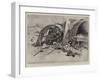 The Fighting in Manila, after the Engagement at Calumpit-Charles Edwin Fripp-Framed Giclee Print