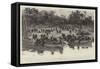 The Fighting of the Gambia-null-Framed Stretched Canvas