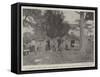 The Fighting on the Gambia, the Governor's Camp at Bullal During the Punitive Expedition-null-Framed Stretched Canvas