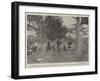 The Fighting on the Gambia, the Governor's Camp at Bullal During the Punitive Expedition-null-Framed Giclee Print