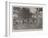 The Fighting on the Gambia, the Governor's Camp at Bullal During the Punitive Expedition-null-Framed Giclee Print