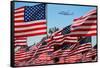 The final flight of the Space Shuttle Columbia flies on 9/21/12 over US Flags at Peperdine Unive...-null-Framed Stretched Canvas