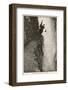 The Final Problem the Death of Sherlock Holmes-Sidney Paget-Framed Photographic Print