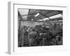 The Final Process of Bottling Beer, Ward and Sons Bottling Plant, Swinton, South Yorkshire, 1960-Michael Walters-Framed Photographic Print