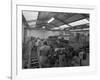 The Final Process of Bottling Beer, Ward and Sons Bottling Plant, Swinton, South Yorkshire, 1960-Michael Walters-Framed Photographic Print