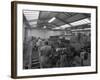 The Final Process of Bottling Beer, Ward and Sons Bottling Plant, Swinton, South Yorkshire, 1960-Michael Walters-Framed Photographic Print