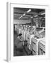 The Final Stages of Cooker Assembly at the Gec Plant, Swinton, South Yorkshire, 1960-Michael Walters-Framed Photographic Print