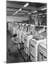 The Final Stages of Cooker Assembly at the Gec Plant, Swinton, South Yorkshire, 1960-Michael Walters-Mounted Photographic Print