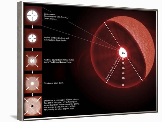 The Final Stages of the Life of a Massive Star, Which Will Go Supernova-Stocktrek Images-Framed Photographic Print