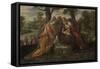 The Finding of Moses, c.1555-75-Jacopo Robusti Tintoretto-Framed Stretched Canvas