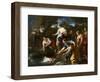 The Finding of Moses, c.1685-1690-Luca Giordano-Framed Premium Giclee Print