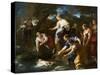 The Finding of Moses, c.1685-1690-Luca Giordano-Stretched Canvas