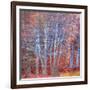 The Fire Forest-Doug Chinnery-Framed Photographic Print