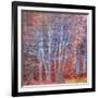 The Fire Forest-Doug Chinnery-Framed Photographic Print