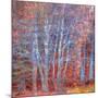 The Fire Forest-Doug Chinnery-Mounted Photographic Print