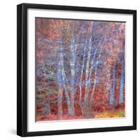 The Fire Forest-Doug Chinnery-Framed Photographic Print