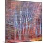 The Fire Forest-Doug Chinnery-Mounted Photographic Print