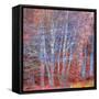 The Fire Forest-Doug Chinnery-Framed Stretched Canvas