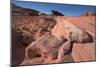 The Fire Wave, Valley of Fire, Near Las Vegas, Nevada, United States of America, North America-Ethel Davies-Mounted Photographic Print