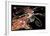 The Firebird', by Igor Stravinksy-Neale Osborne-Framed Giclee Print