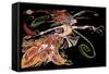 The Firebird', by Igor Stravinksy-Neale Osborne-Framed Stretched Canvas