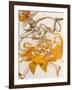 The Firebird, Costume for the Firebird, the Ballet by Lgor Stravinsky, 1910-Leon Bakst-Framed Giclee Print