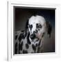 The Firemans Dog Dalmatian-Jai Johnson-Framed Giclee Print