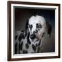 The Firemans Dog Dalmatian-Jai Johnson-Framed Giclee Print