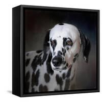 The Firemans Dog Dalmatian-Jai Johnson-Framed Stretched Canvas