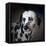 The Firemans Dog Dalmatian-Jai Johnson-Framed Stretched Canvas