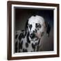 The Firemans Dog Dalmatian-Jai Johnson-Framed Giclee Print