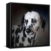 The Firemans Dog Dalmatian-Jai Johnson-Framed Stretched Canvas