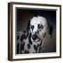 The Firemans Dog Dalmatian-Jai Johnson-Framed Giclee Print