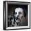 The Firemans Dog Dalmatian-Jai Johnson-Framed Giclee Print