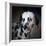 The Firemans Dog Dalmatian-Jai Johnson-Framed Giclee Print