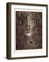 The First Approach of the Serpent-Gustave Dore-Framed Giclee Print