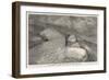 The First Ascent of Mount Cook New Zealand-null-Framed Art Print