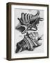 The First Book of Any Size Restricted to Molluscs; Ricreatione Dell'Occhio E Della Mente Nell'…-Filippo Buonanni-Framed Giclee Print