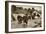 The First British Troops Disembark from the Specially Designed Landing Ladders-English Photographer-Framed Giclee Print