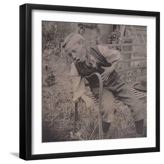 Premium Photographic Print, , large