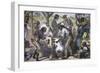 The First Cotton Gin-W. Sheppard-Framed Giclee Print