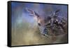 The First Fawn-Jai Johnson-Framed Stretched Canvas