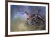 The First Fawn-Jai Johnson-Framed Giclee Print