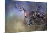 The First Fawn-Jai Johnson-Mounted Giclee Print