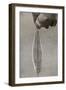 The First Incandescent Electric Lamp, C1916-null-Framed Giclee Print