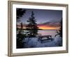 The First Light of Dawn Colors Wispy Clouds Across Narraguagus Bay at Mcclellen Park-null-Framed Photographic Print