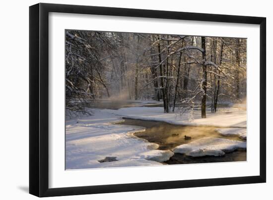 The First Light-Robin Eriksson-Framed Photographic Print