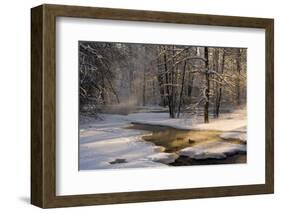 The First Light-Robin Eriksson-Framed Photographic Print