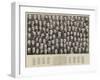 The First London County Council-null-Framed Giclee Print